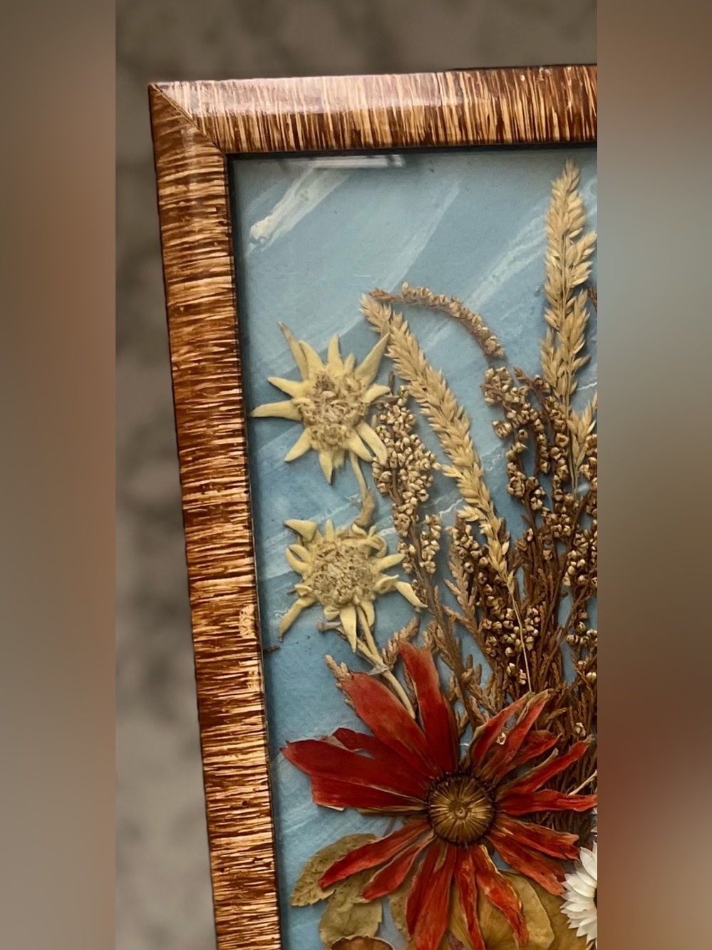 Vintage 1977 Polish Dried Flower Art,Rzeszów Botanical Shadow Box,16,5”x7,5” - Picture 10 of 12